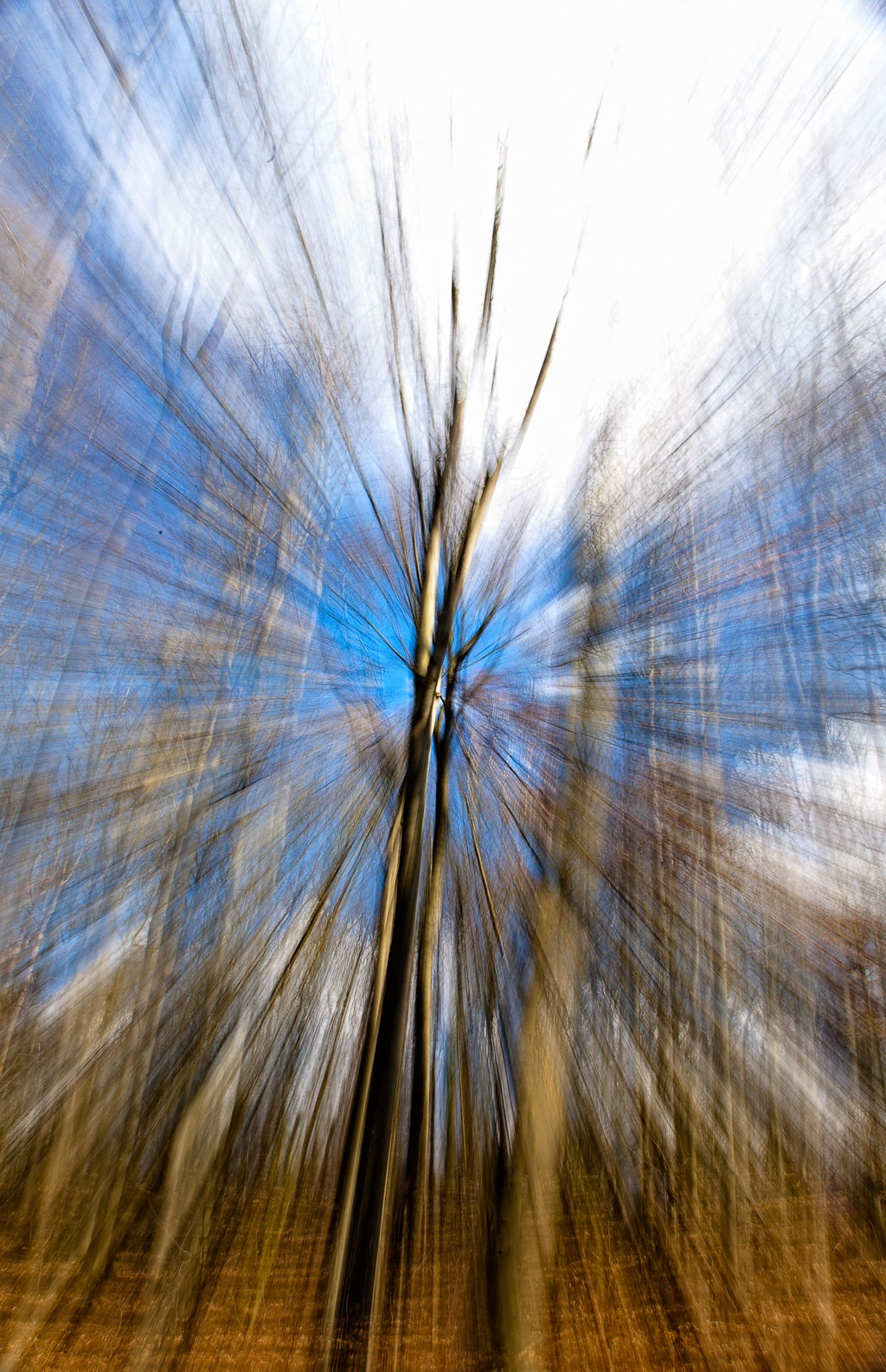 Baumschrei furbanke__MG_2479-Bearbeitet.jpg