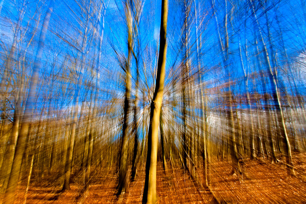 Baumschrei furbanke__MG_2484-Bearbeitet-2.jpg