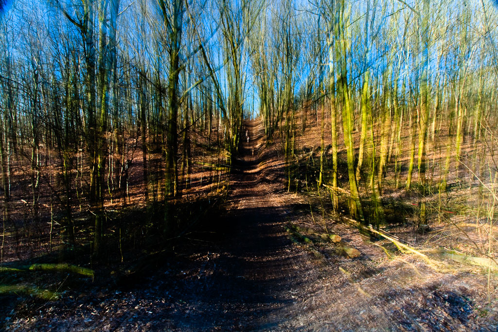 Baumschrei furbanke__MG_3168-Bearbeitet-3.jpg