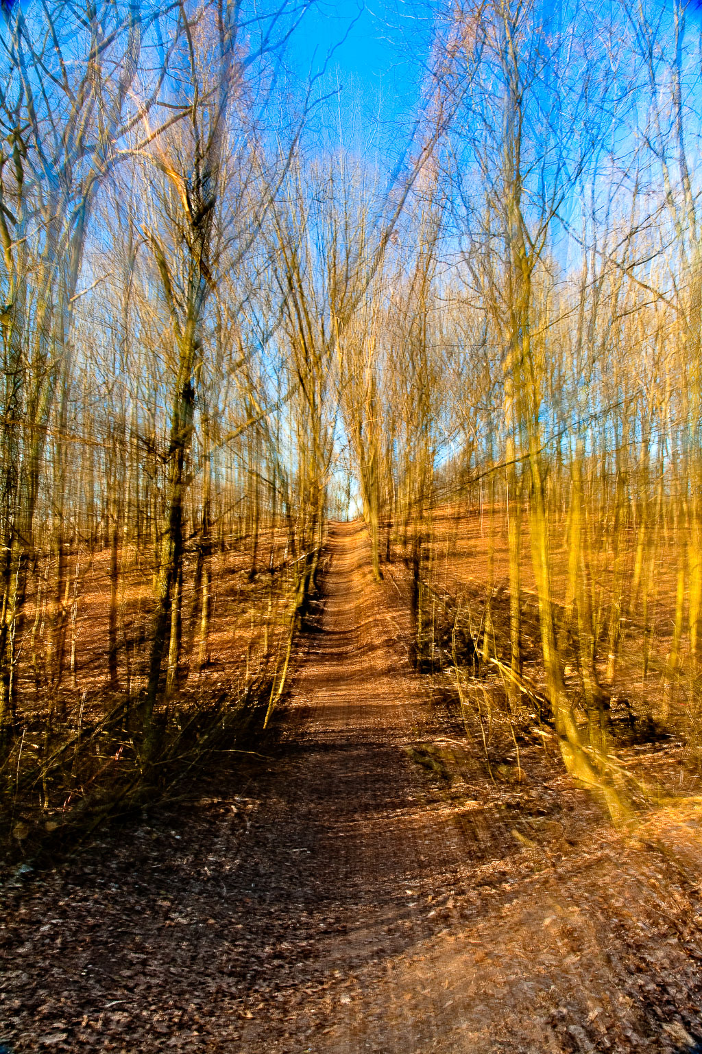 Baumschrei furbanke__MG_3183-Bearbeitet.jpg