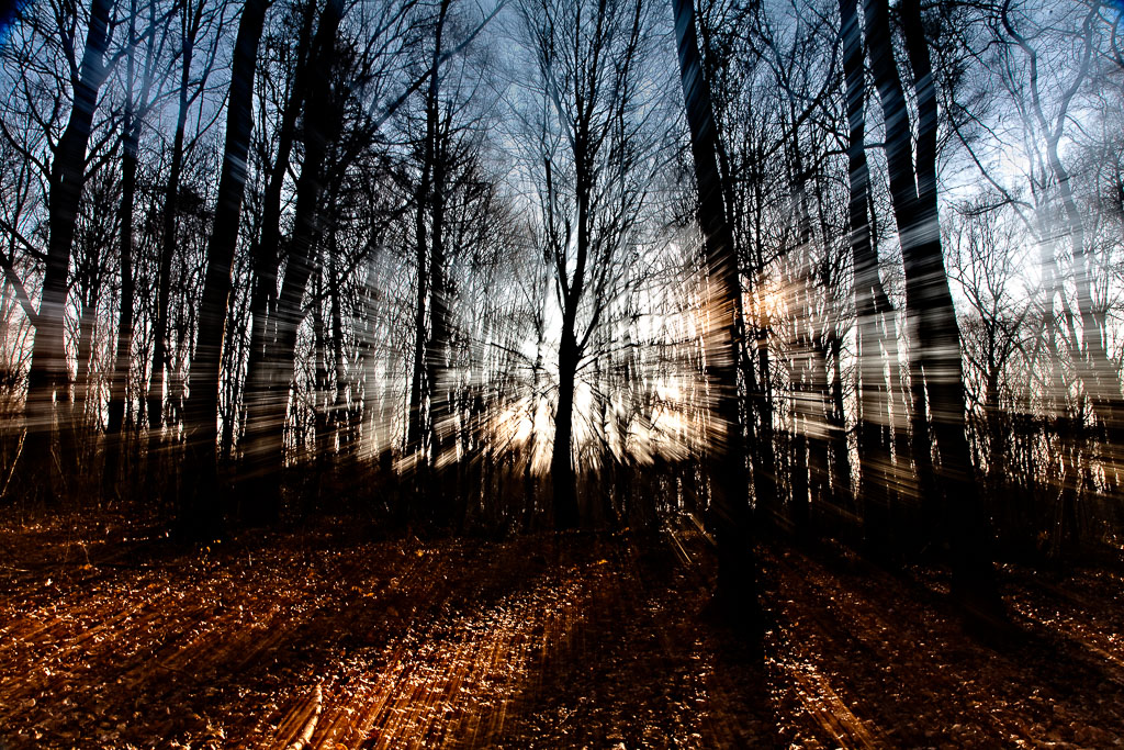 Baumschrei furbanke__MG_3208-Bearbeitet.jpg