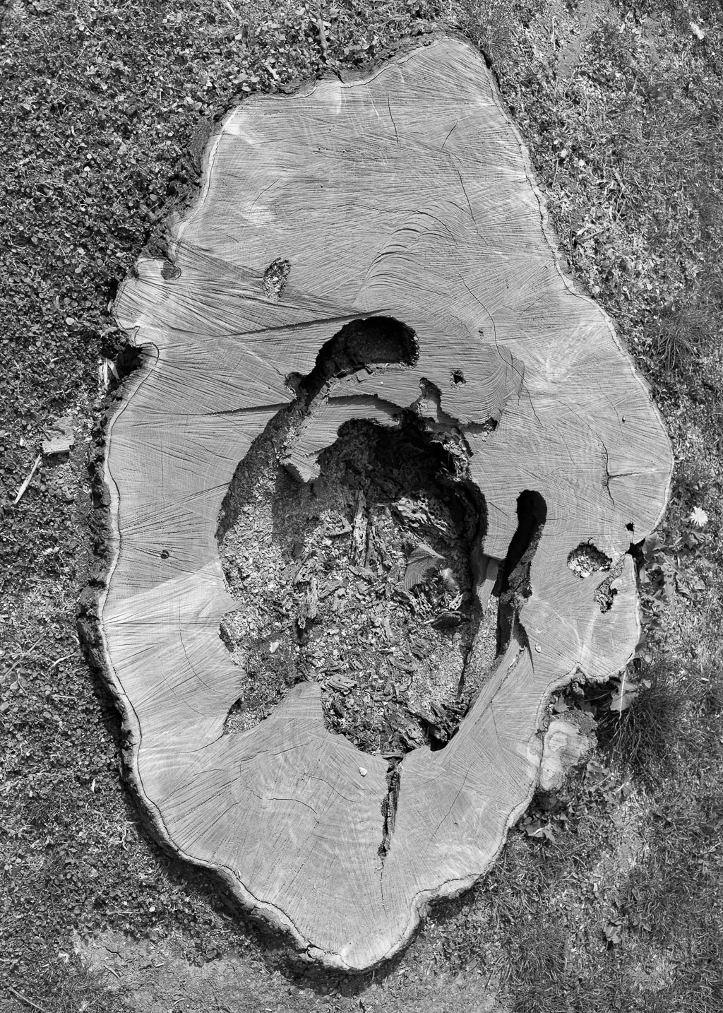 Joseph 20140401_IMG_6708-Bearbeitet-3.jpg