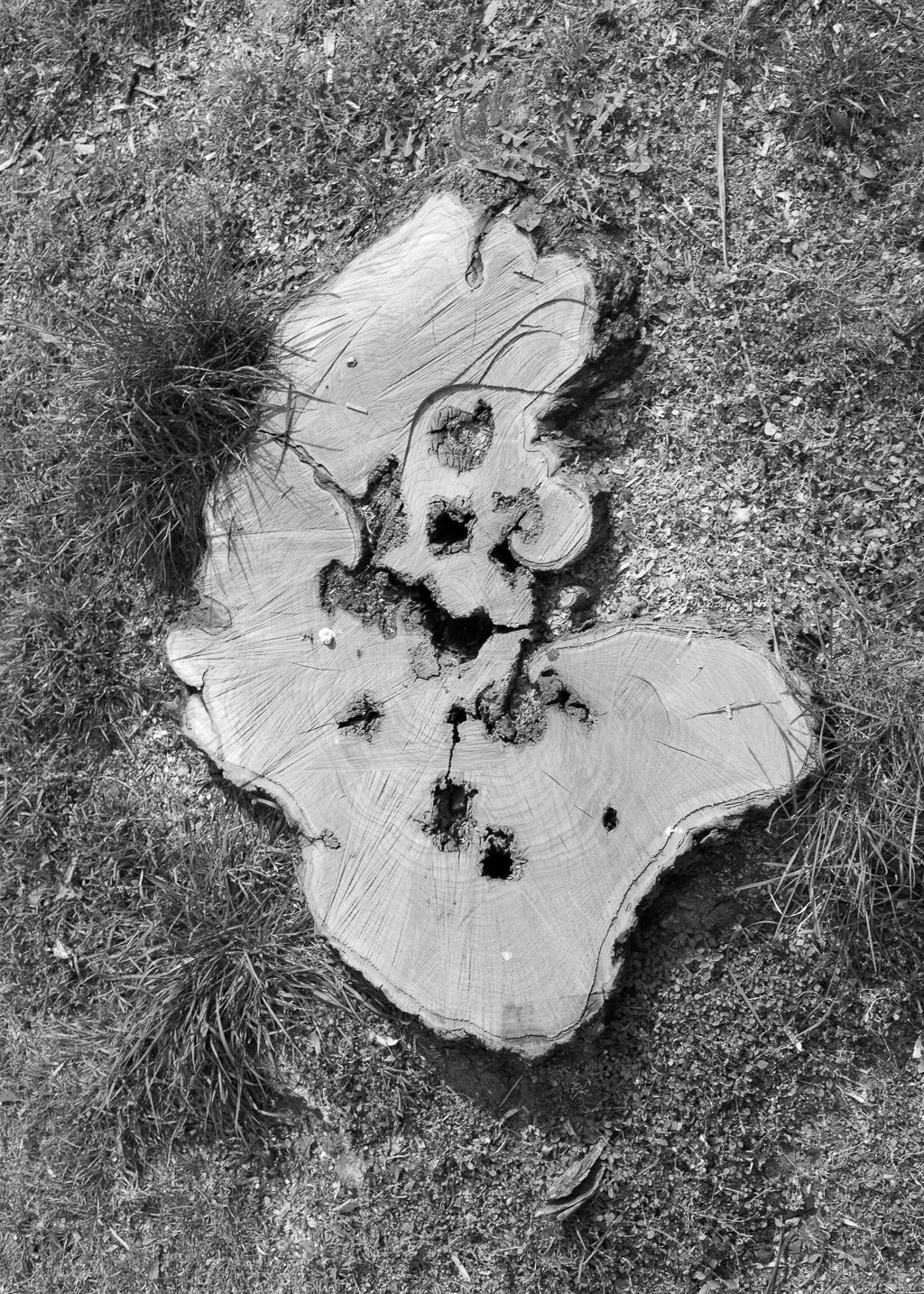 Maria 20140401_IMG_6712-Bearbeitet-2.jpg