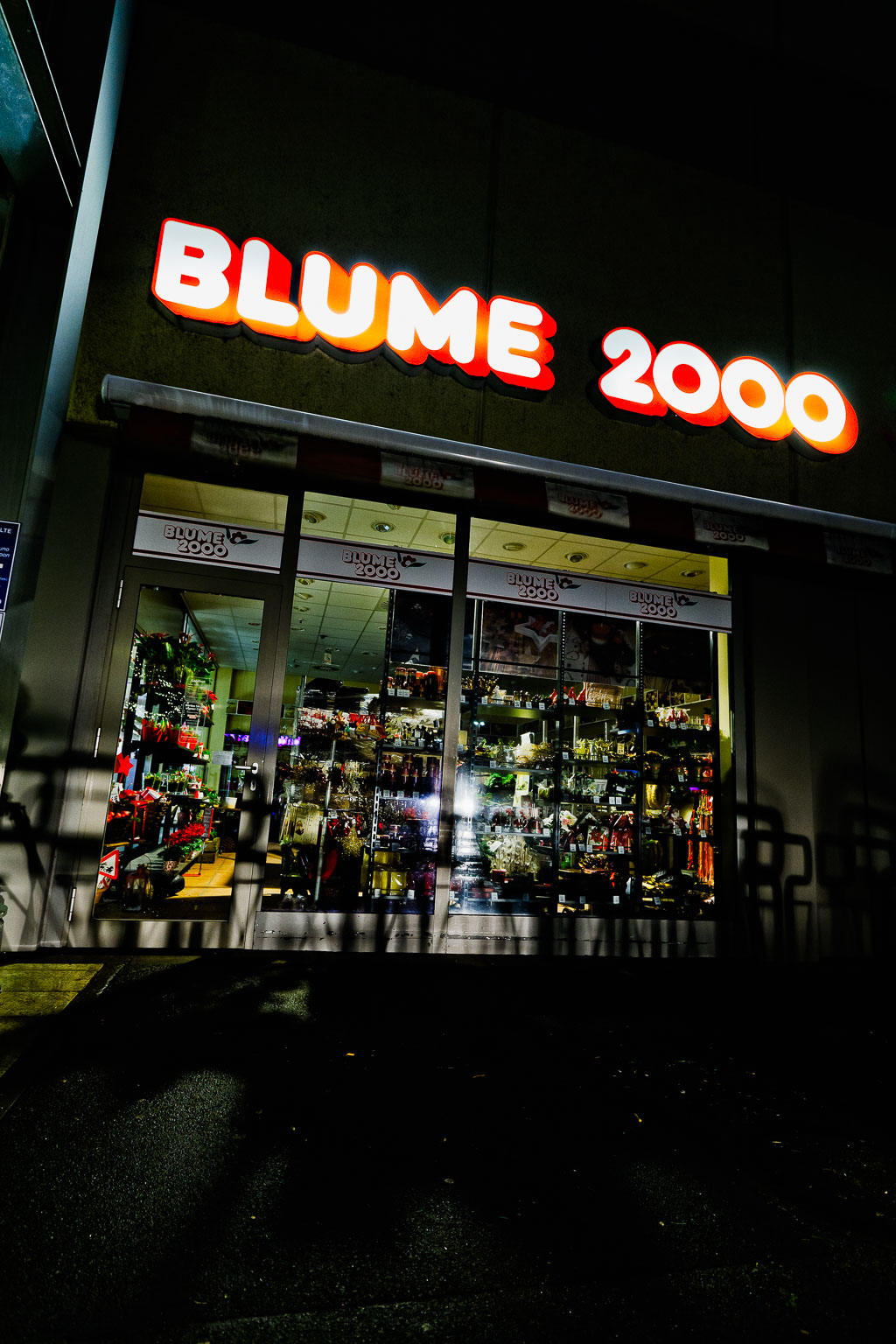 Vision 2000 furIMG_9322-Bearbeitet.jpg